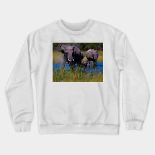 Splashing through the Water Crewneck Sweatshirt